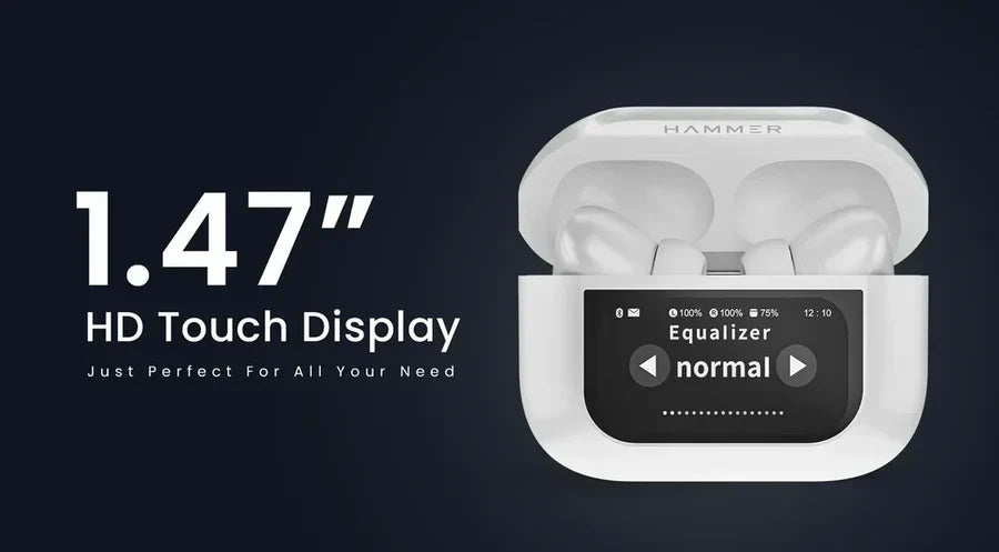 AIRPODS PRO 2 DISPLAY SCREEN
